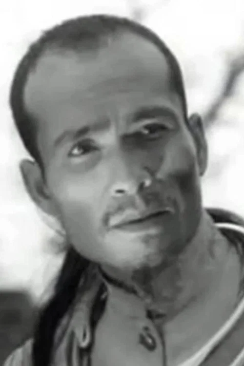 Photo of Văn Hòa, Acting