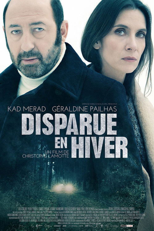Movie poster for Disappeared in Winter (2015)