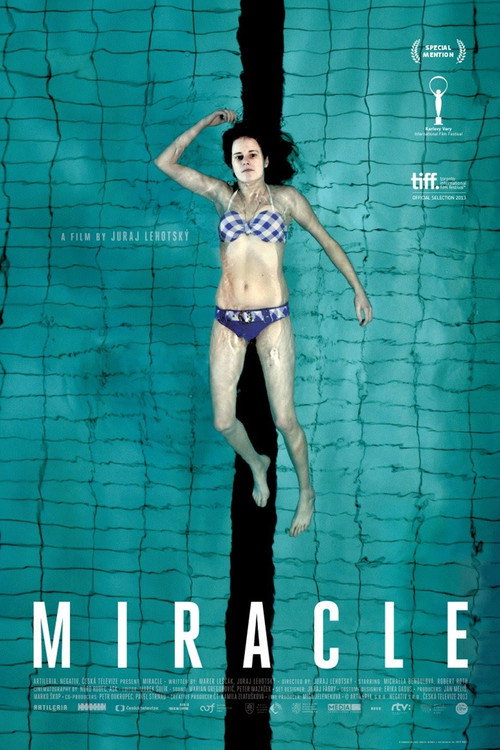 Movie poster for Miracle (2013)