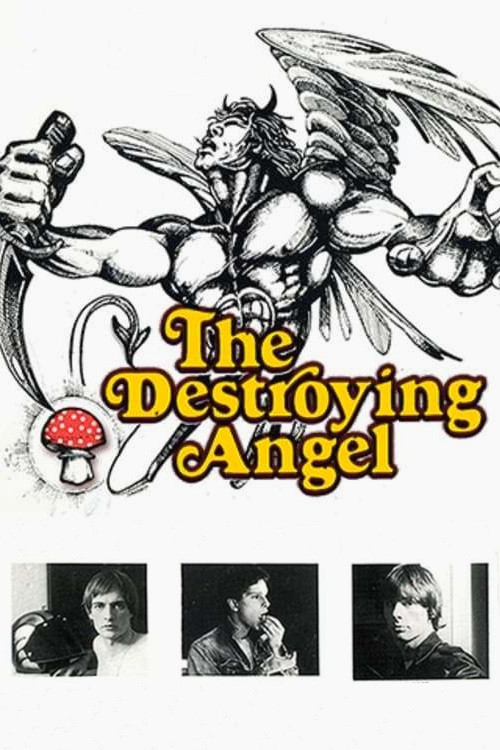 Movie poster for The Destroying Angel (1976)
