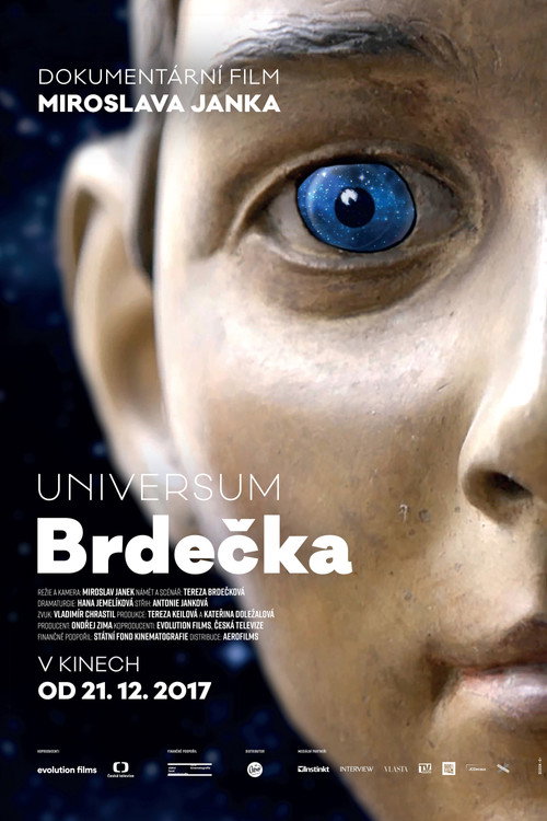 Movie poster for Universum Brdečka (2017)