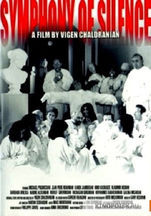 Movie poster for Symphony of Silence (2001)