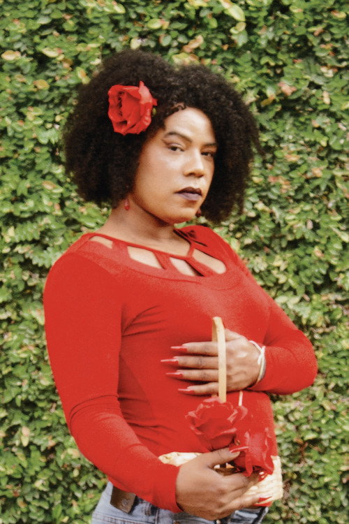 Photo of Penellopy, Acting