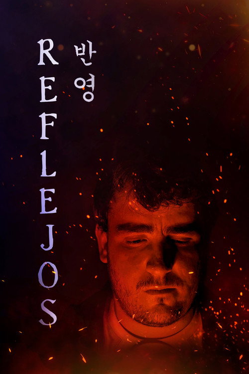 Movie poster for Reflections (반영) (2025)