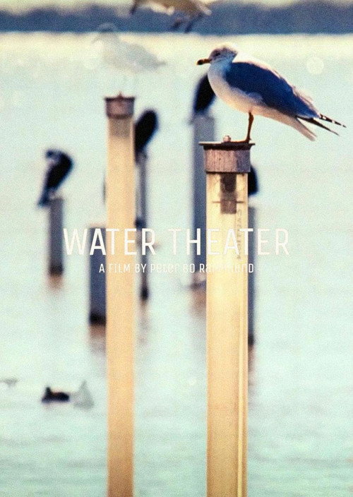 Movie poster for Water Theater (2015)