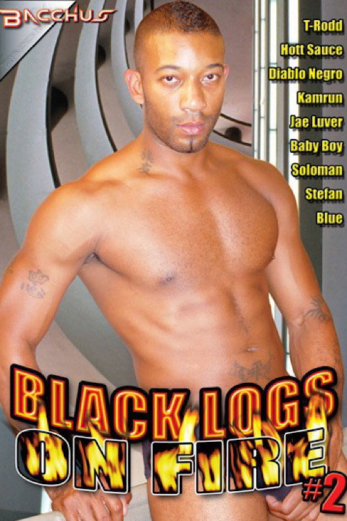 Movie poster for Black Logs on Fire 2 (2012)