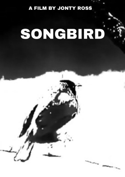 Movie poster for Songbird (2025)
