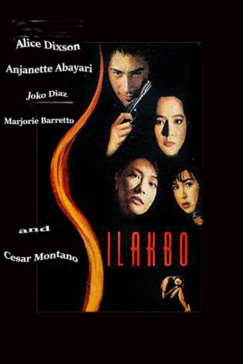 Movie poster for Silakbo (1995)