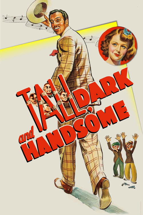 Movie poster for Tall, Dark and Handsome (1941)