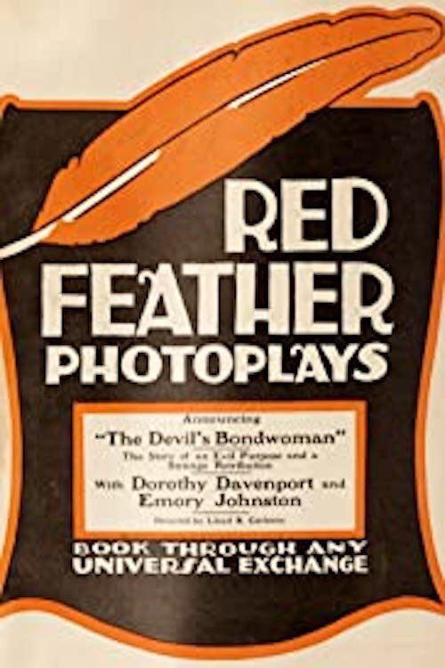 Movie poster for The Devil's Bondwoman (1916)