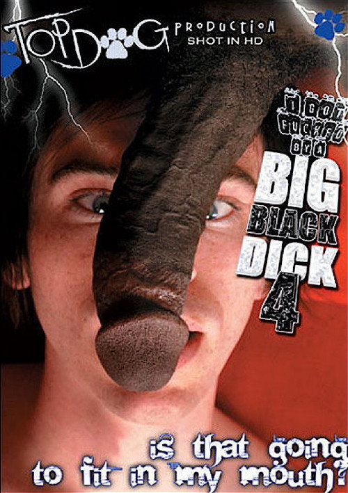 Movie poster for I Got Fucked by a Big Black Dick 4 (2009)