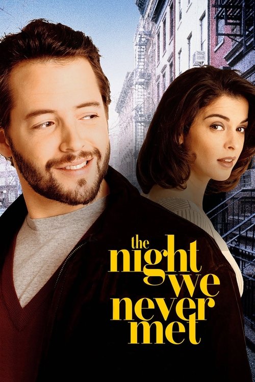 Movie poster for The Night We Never Met (1993)