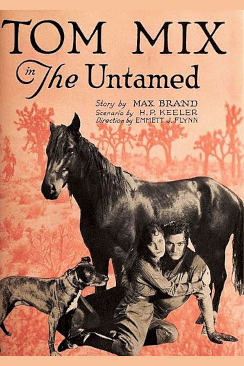 Movie poster for The Untamed (1920)