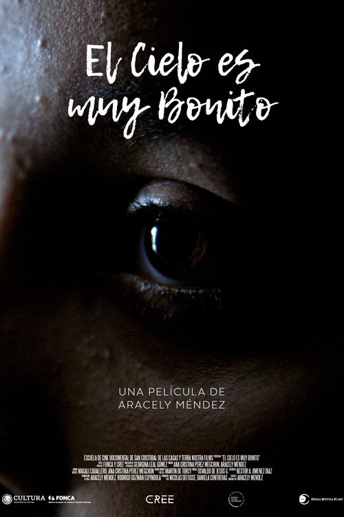 Movie poster for El cielo es muy bonito (2022)