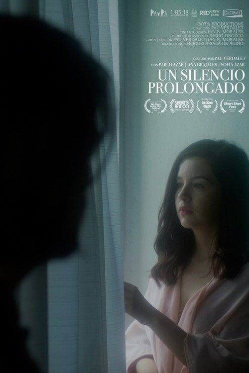 Movie poster for Un silencio prolongado (2020)
