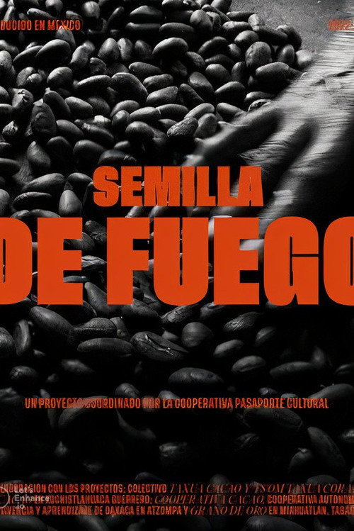 Movie poster for Seed of Fire (2023)