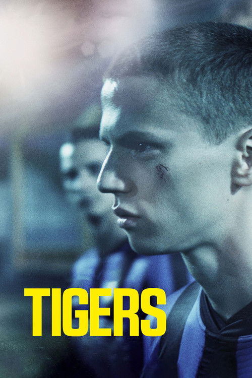 Movie poster for Tigers (2021)