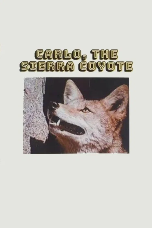 Movie poster for Carlo the Sierra Coyote (1974)