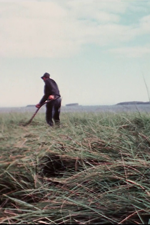 Movie poster for Farmer (1973)