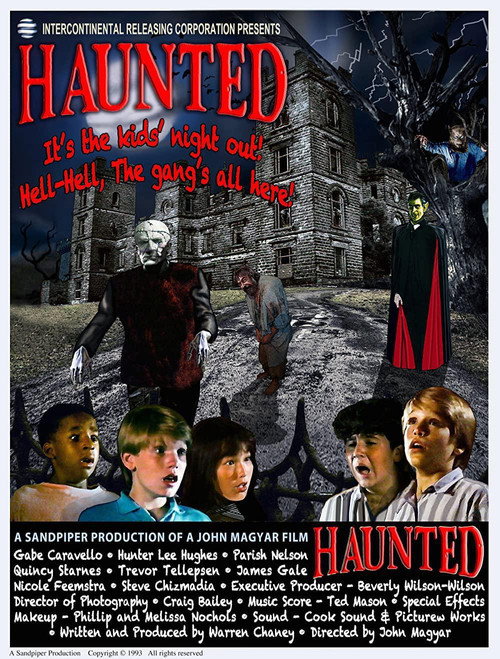 Movie poster for Haunted (1993)