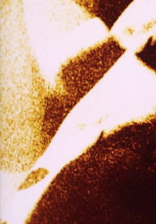 Movie poster for Spectral Cycle (2009)