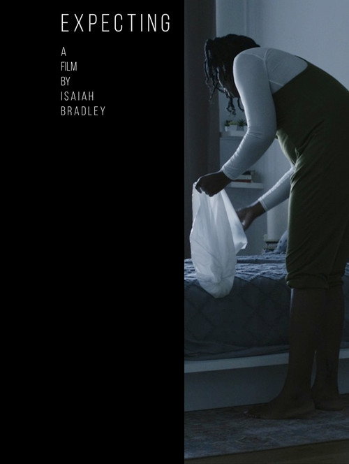 Movie poster for Expecting (2022)