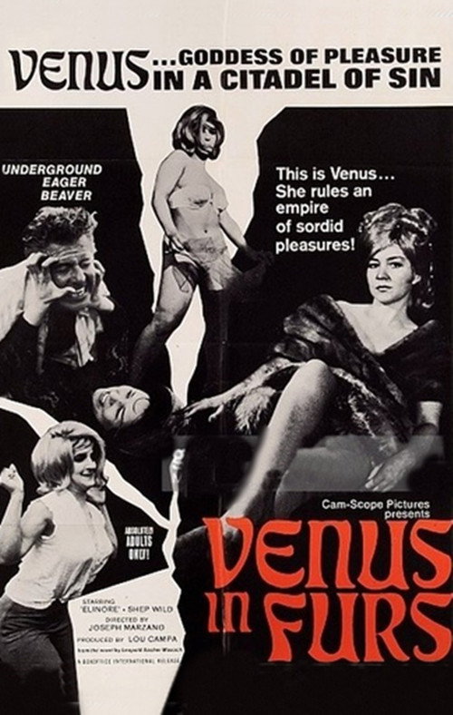 Movie poster for Venus in Furs (1967)