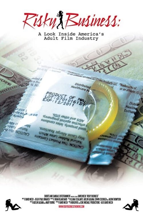 Movie poster for Risky Business: A Look Inside America's Adult Film Industry (2013)