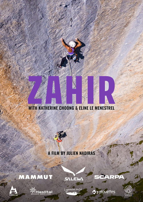 Movie poster for Zahir (2025)