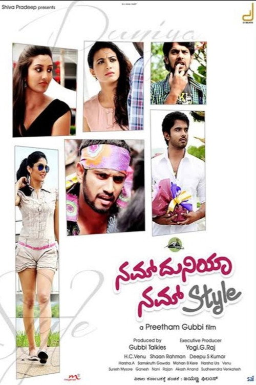 Movie poster for Nam Duniya Nam Style (2013)