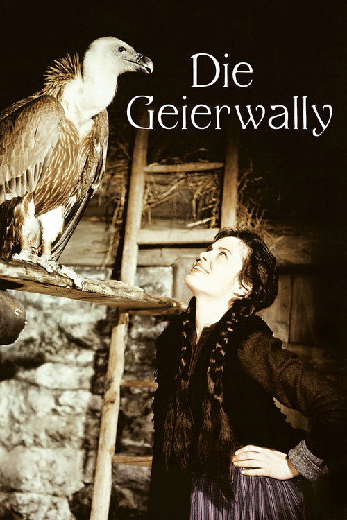 Movie poster for Wally of the Vultures (1956)