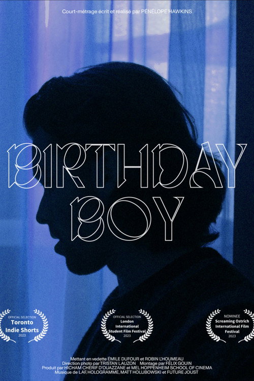 Movie poster for Birthday Boy