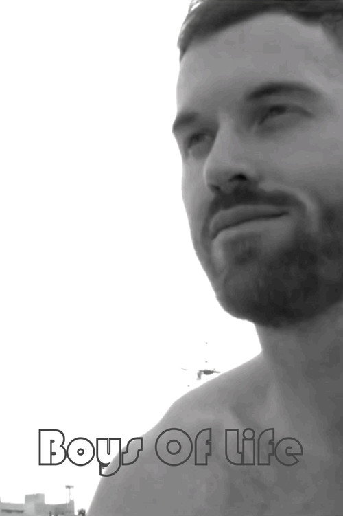Movie poster for Boys of Life II (2016)