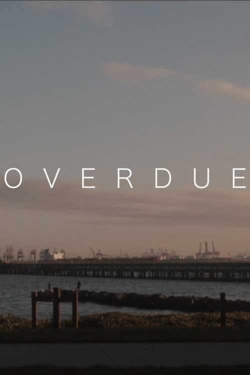 Movie poster for Overdue (2021)
