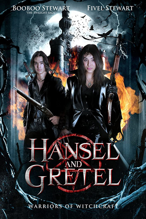 Movie poster for Hansel & Gretel: Warriors of Witchcraft (2013)