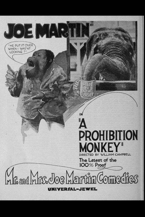 Movie poster for A Prohibition Monkey (1920)