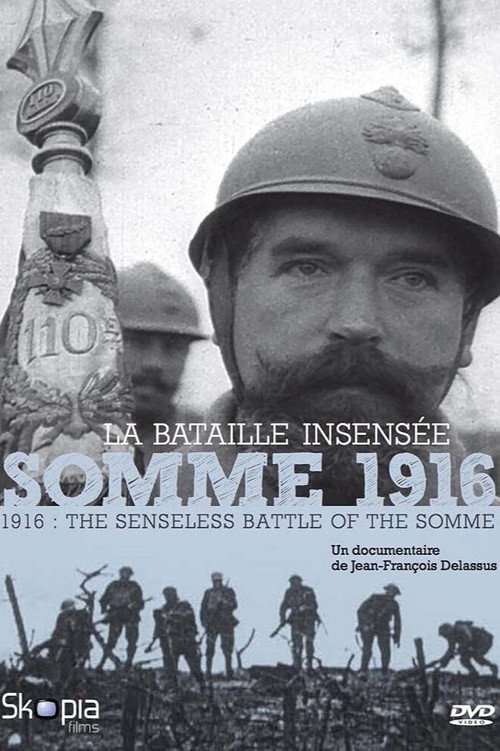 Movie poster for Somme 1916, la bataille insensée (2016)