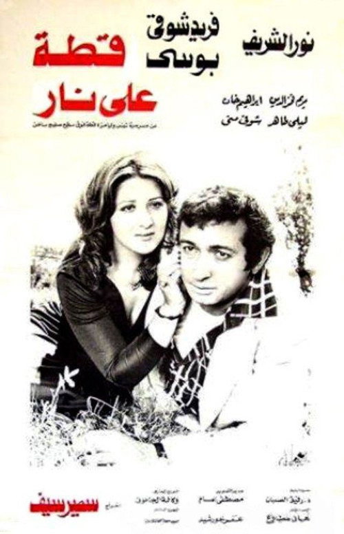 Movie poster for Cat on Fire (1977)