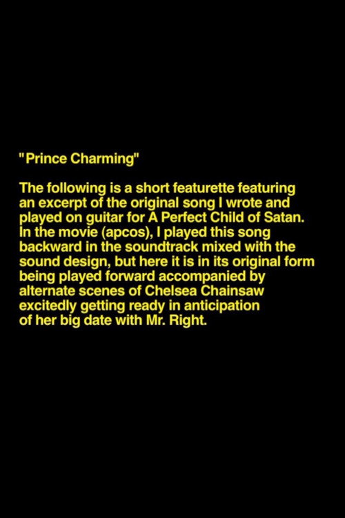 Movie poster for Prince Charming (2016)
