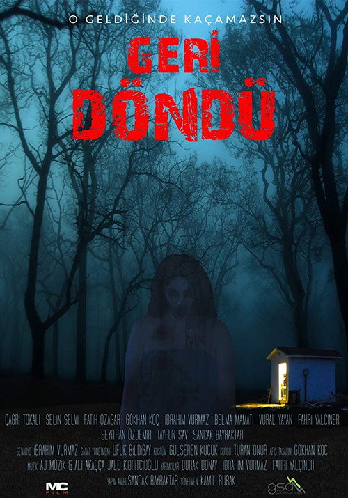 Movie poster for Geri Döndü (2017)