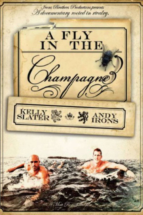 Movie poster for A Fly in the Champagne (2009)