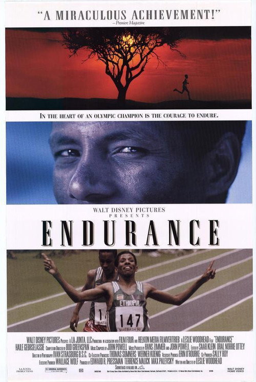 Movie poster for Endurance (1999)