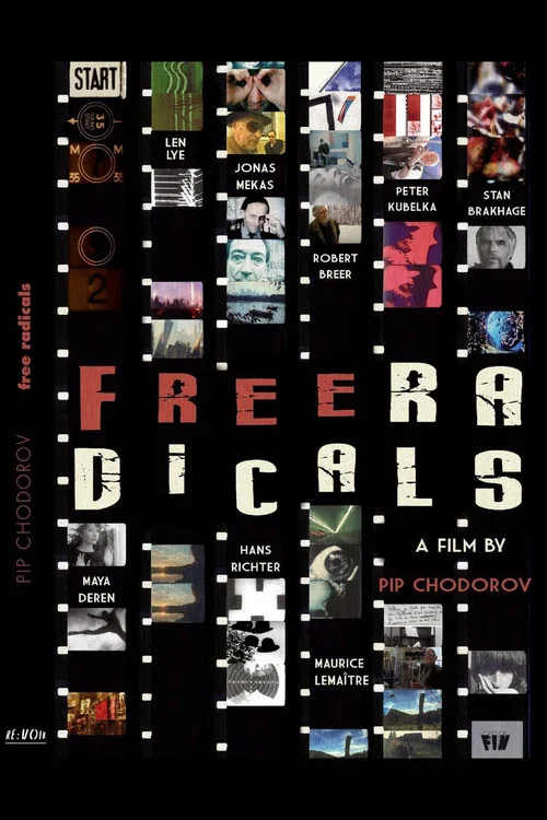 Movie poster for Free Radicals: A History of Experimental Film (2011)
