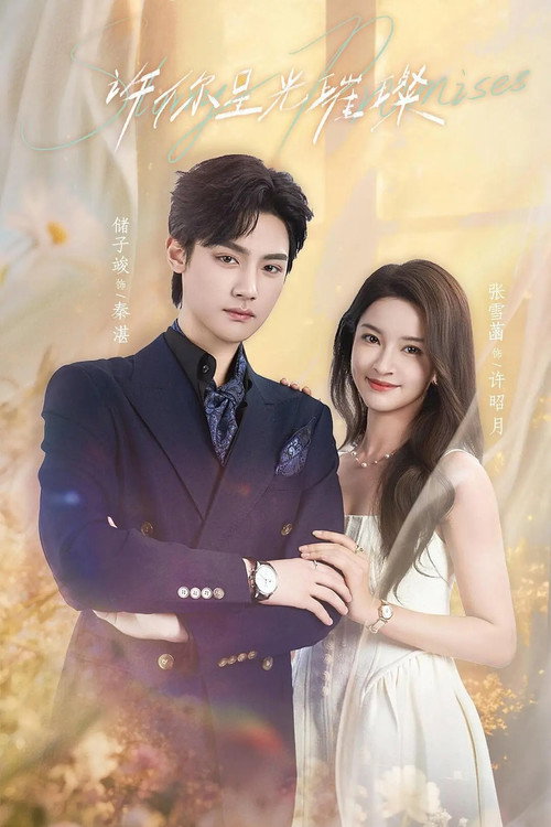 Series poster for 许你星光璀璨 (2026)