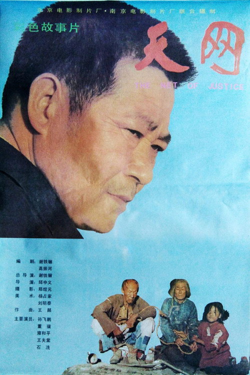 Movie poster for The Net of Justice (1994)