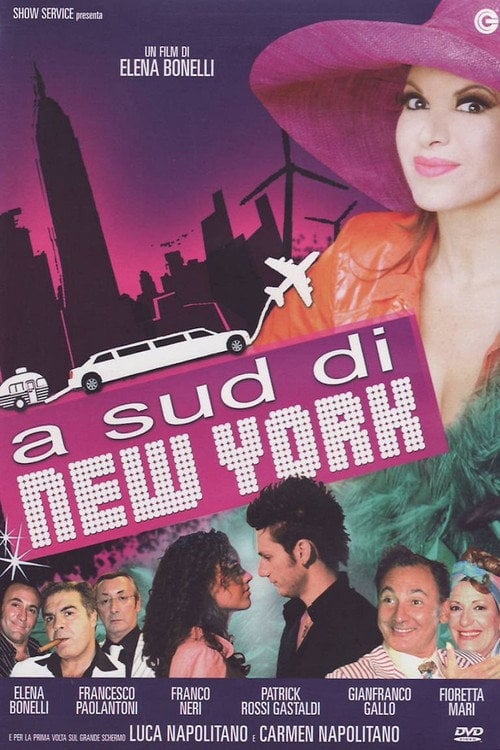 Movie poster for South of New York (2010)