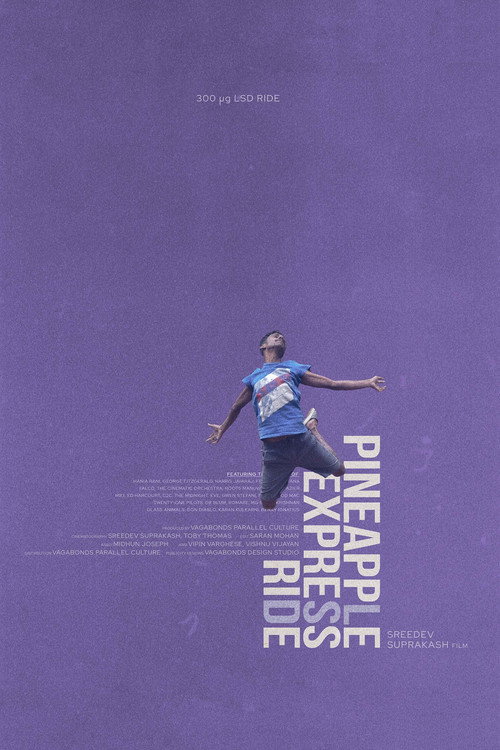 Movie poster for Pineapple Express Ride (2021)