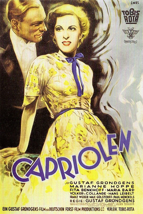 Movie poster for Love in Stunt Flying (1937)