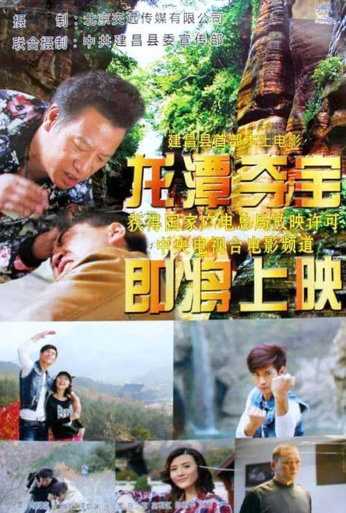 Movie poster for Longtan Canyon Treasures (2015)