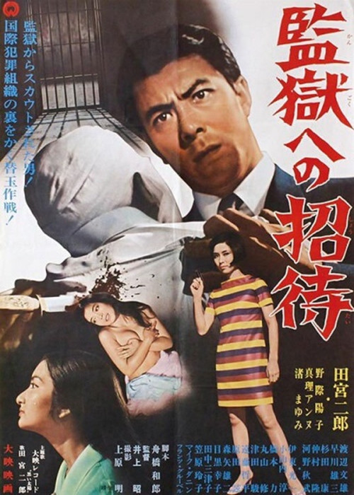 Movie poster for Invitation to Jail (1967)